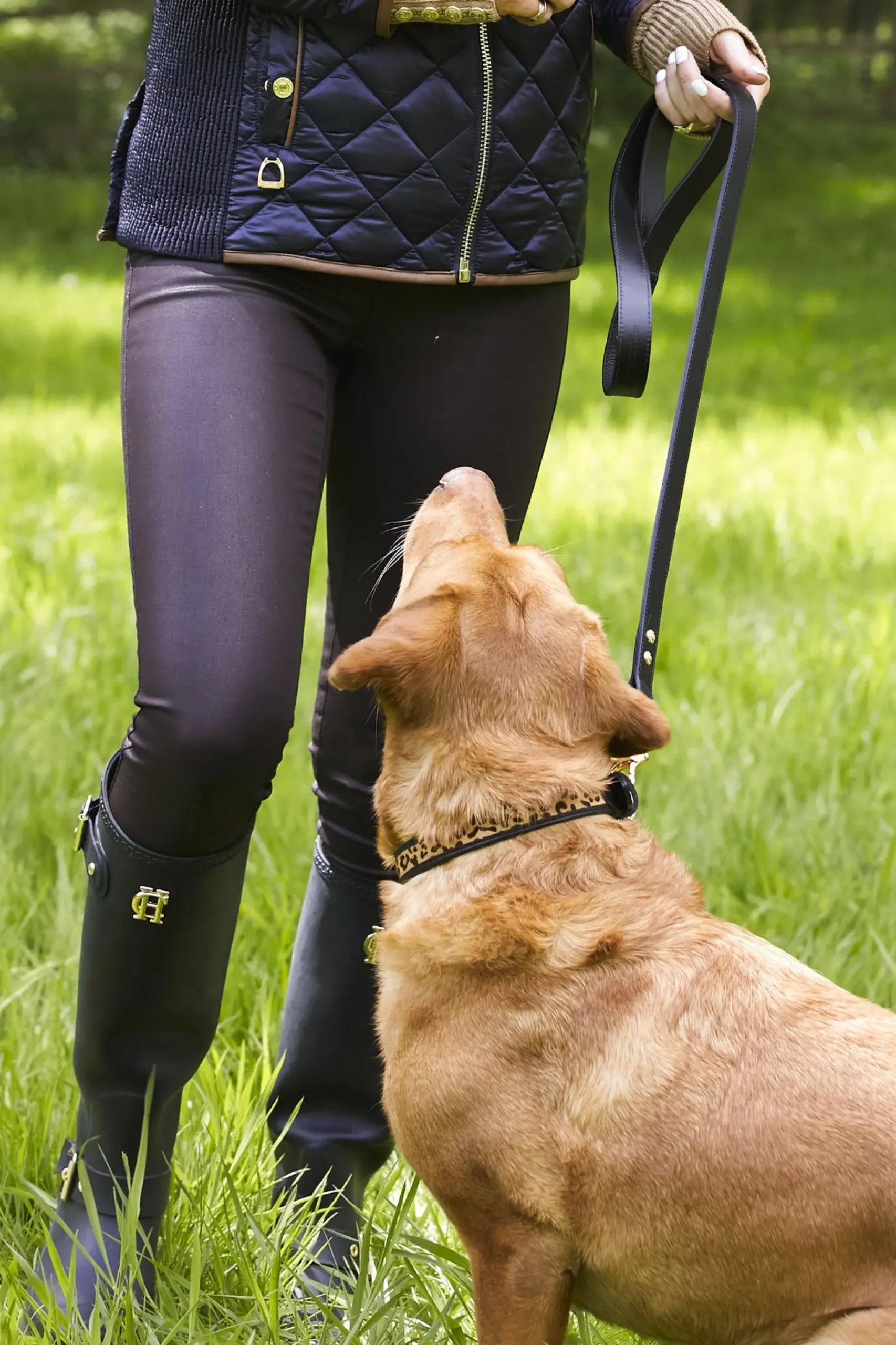 Classic Dog Lead