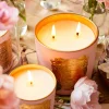Double Wick Candle