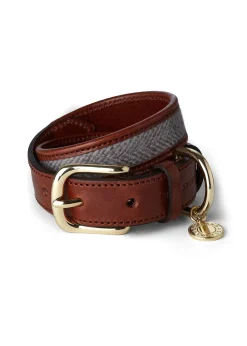 HC Classic Dog Collar