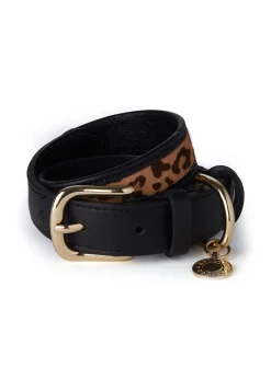 HC Classic Dog Collar