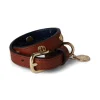 HC Studded Dog Collar
