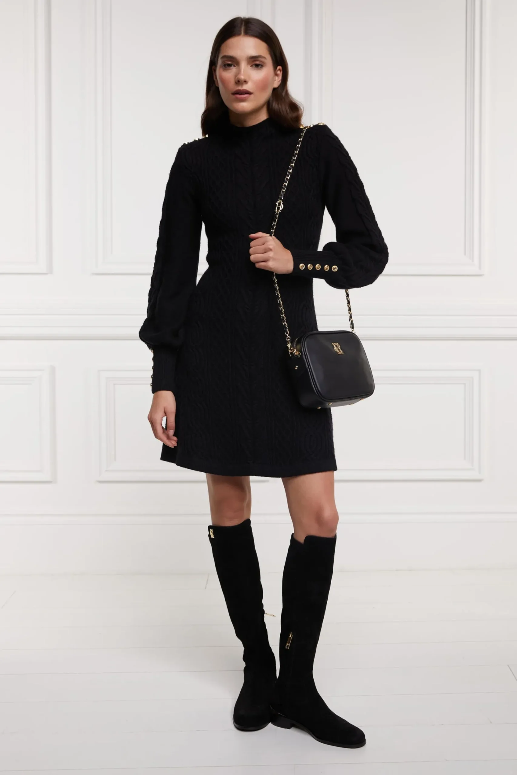 Rachel Mini Dress