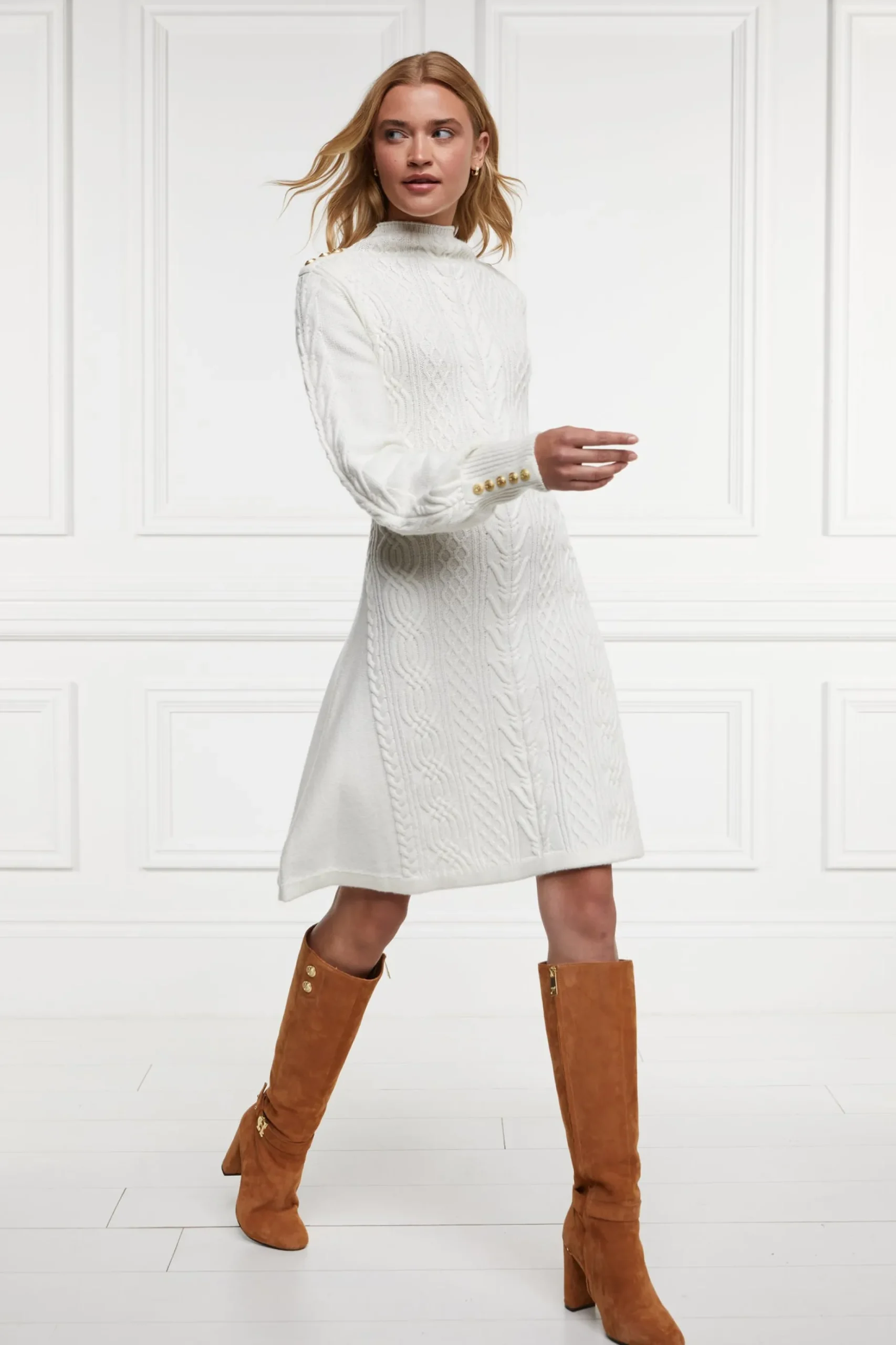 Rachel Mini Dress